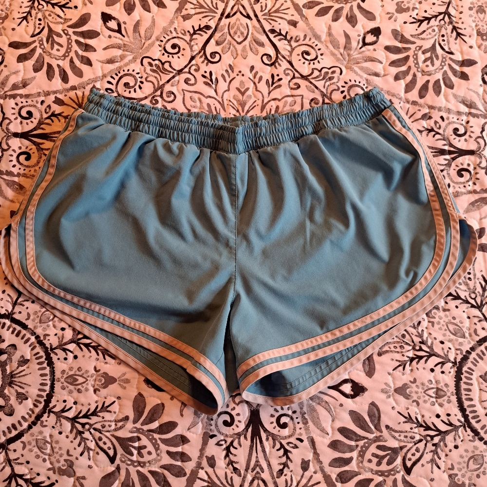 Champion light blue Shorts Size Large